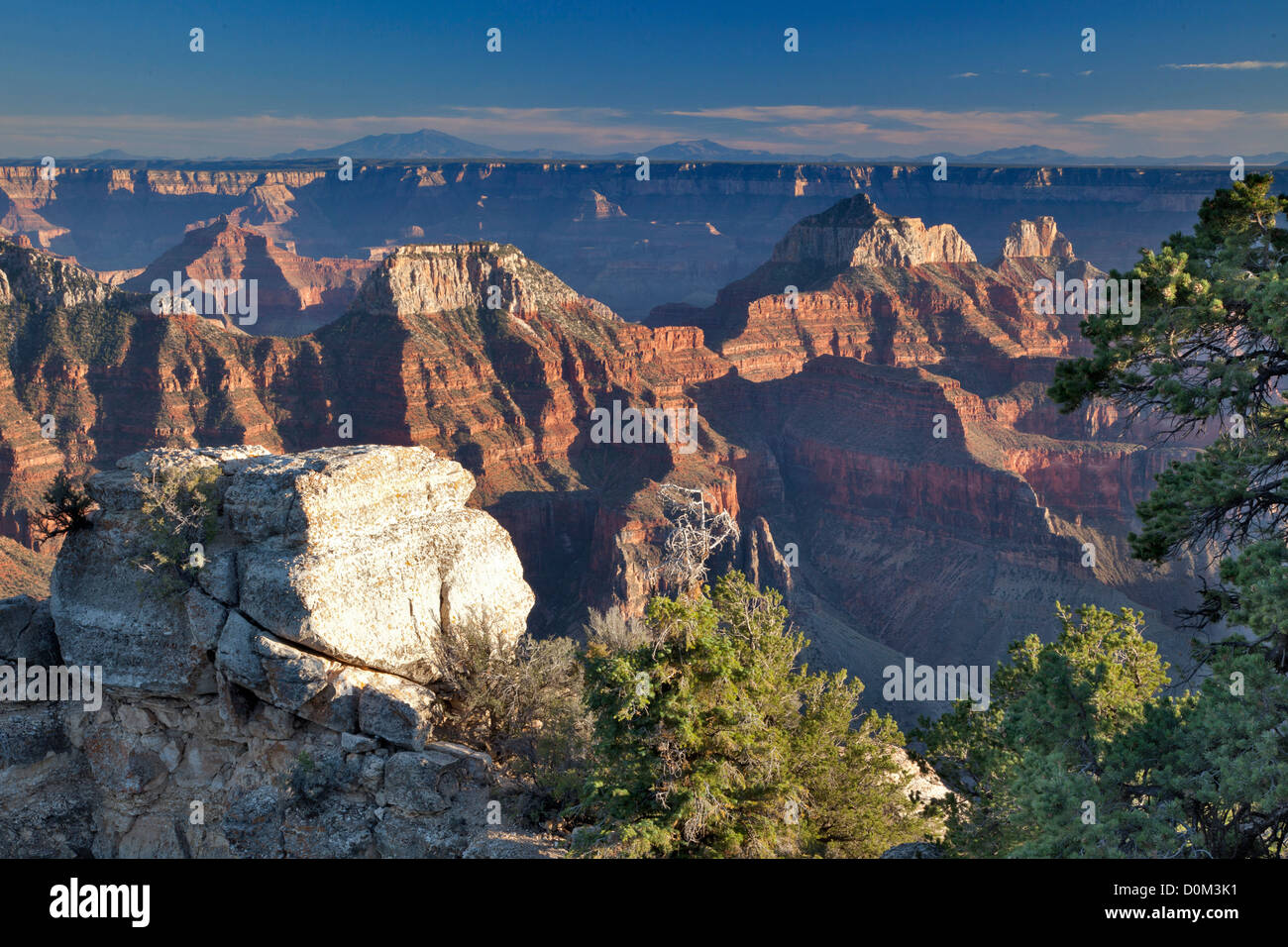 Grand Canyon, Az Stock Photo