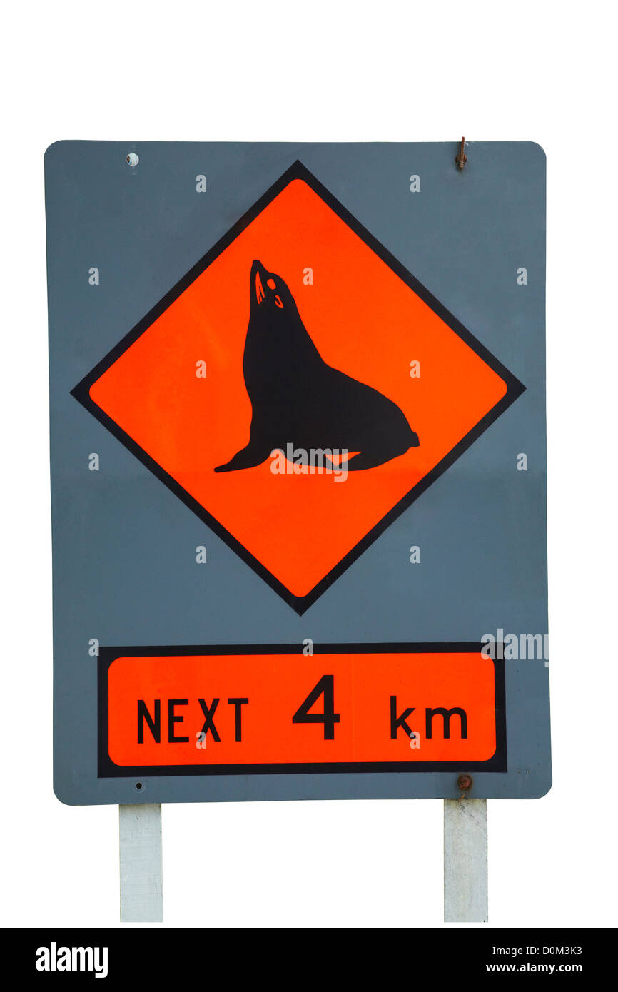 Seal warning sign, New Zealand Stock Photo
