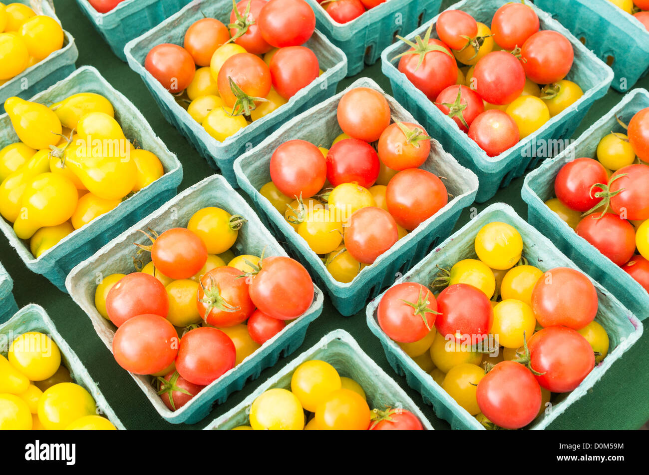 Boxes of fresh cherry tomatoes on display at the farmers market Stock ...