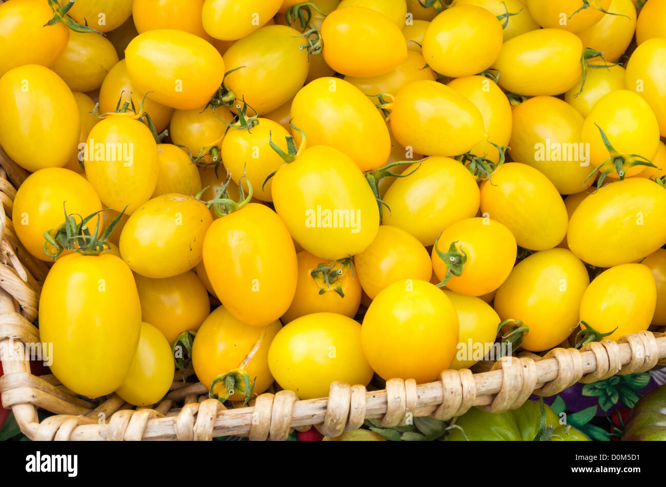 Yellow cherry tomatoes on display in wicker basket at the market Stock ...