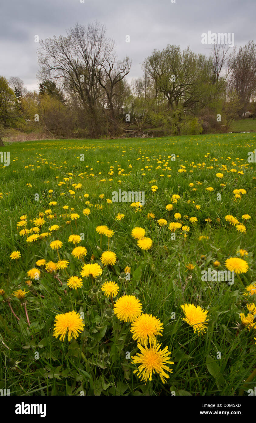 Spring landscape in Quebec Canada Stock Photo