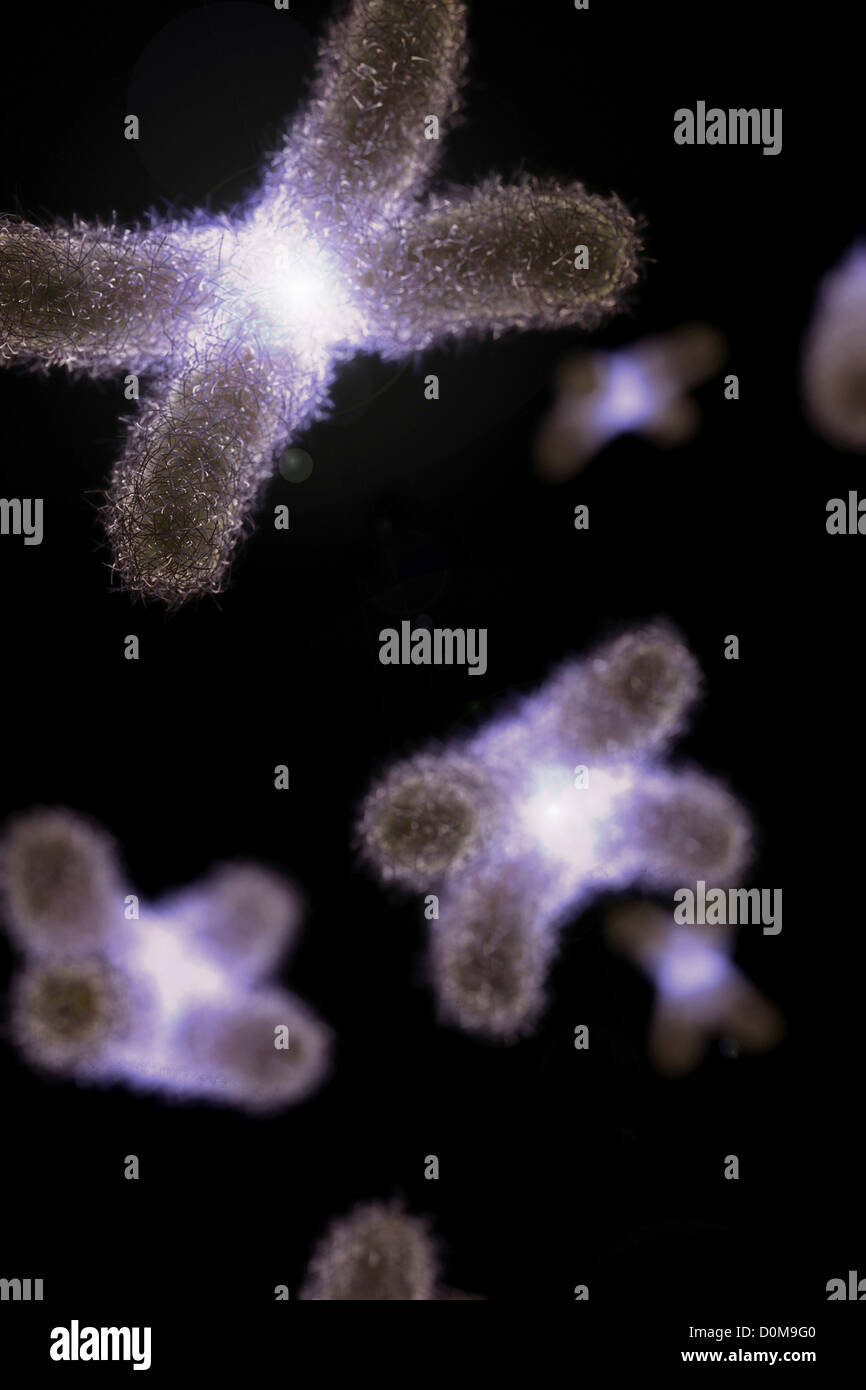 Chromosome visualization hi-res stock photography and images - Alamy