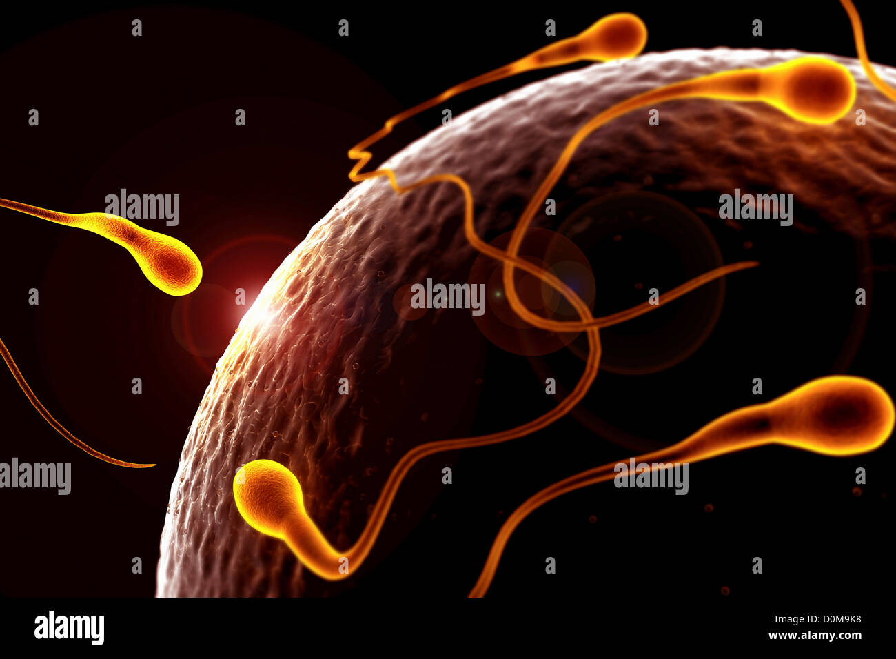 Stylized view of human sperm surrounding an ovum at the moment of