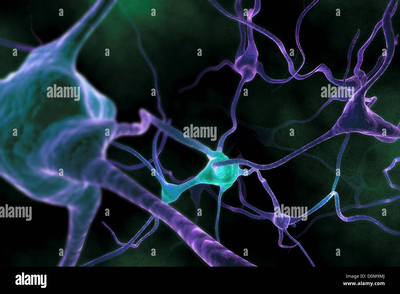 Microscopic styled visualization of neurons. Stock Photo