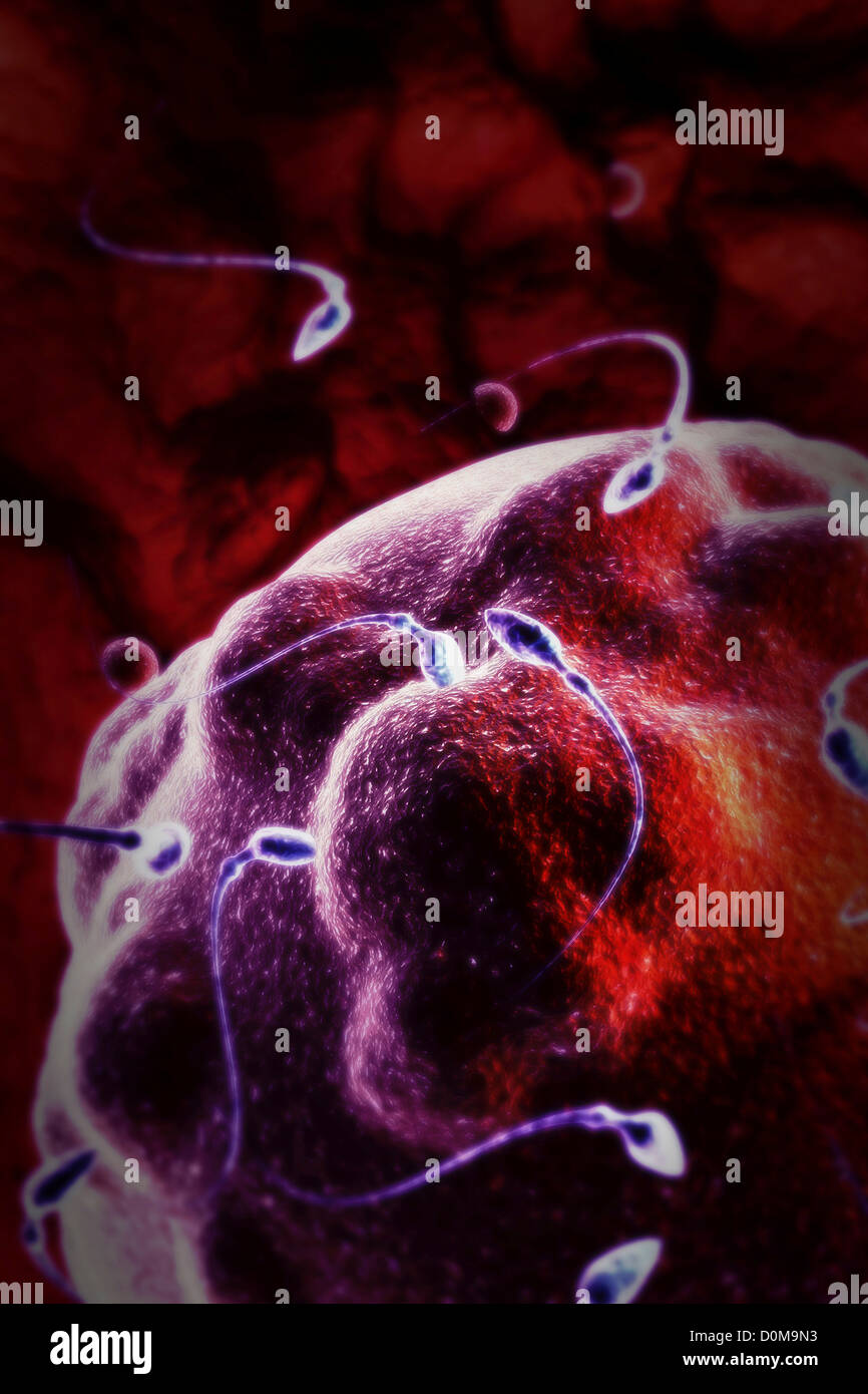 Stylized visualization of a ovum surrounded by sperm at the moment of