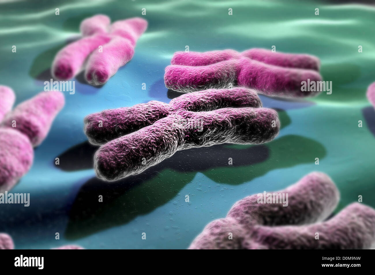 Conceptual depiction of human chromosomes. Stock Photo