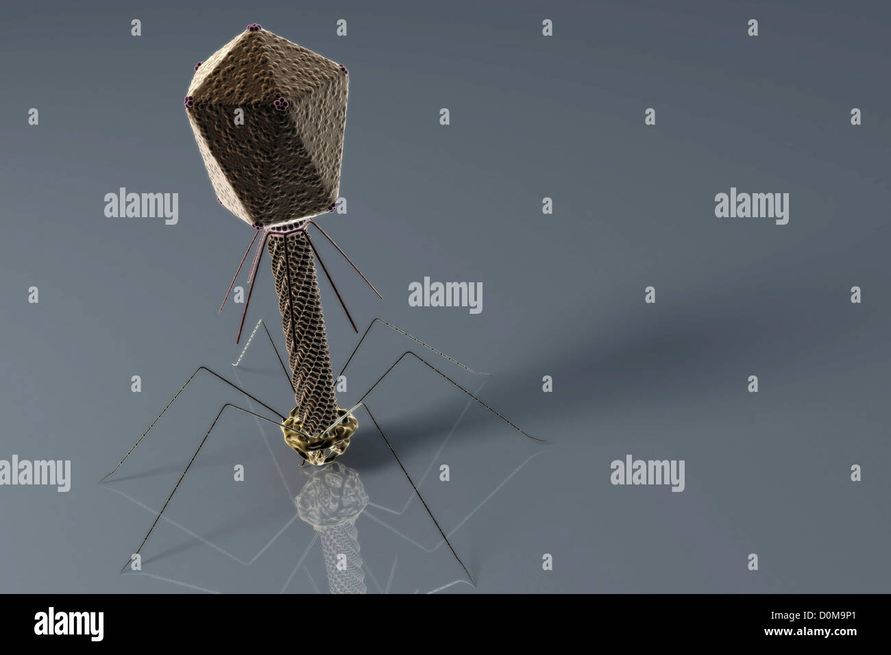 Stylized visualization of a bacteriophage Stock Photo - Alamy