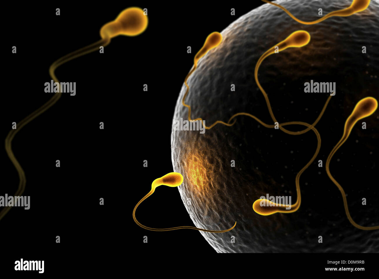 Stylized view of human sperm surrounding an ovum at the moment of