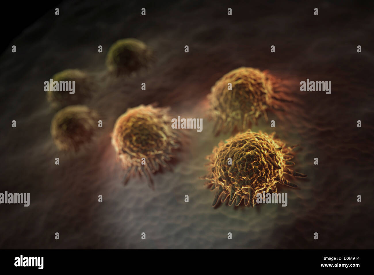 Osteoblast cell hi-res stock photography and images - Alamy
