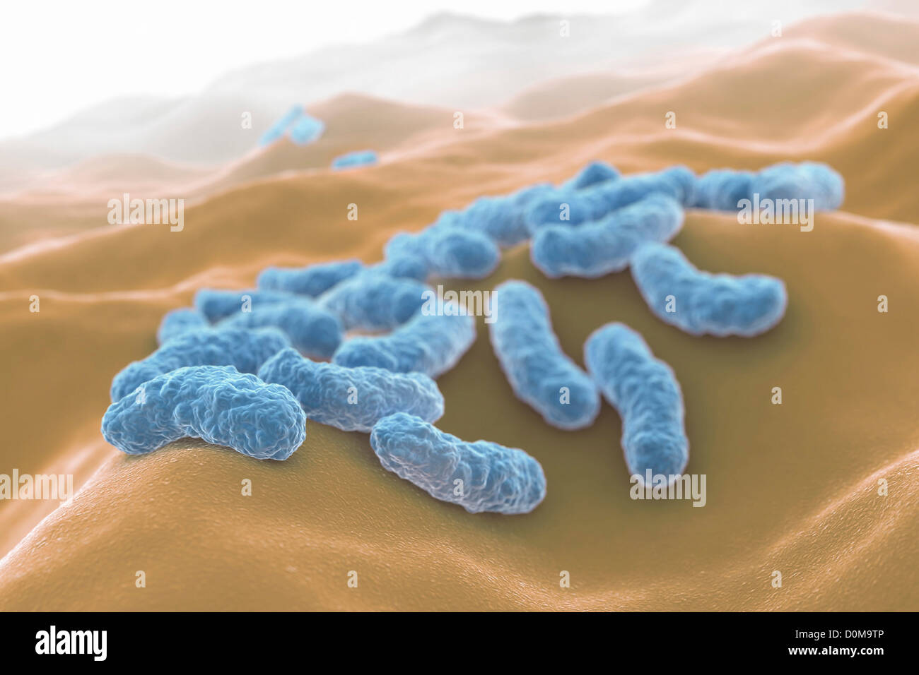 Scanning electromicrograph styled rod shaped bacteria. Stock Photo