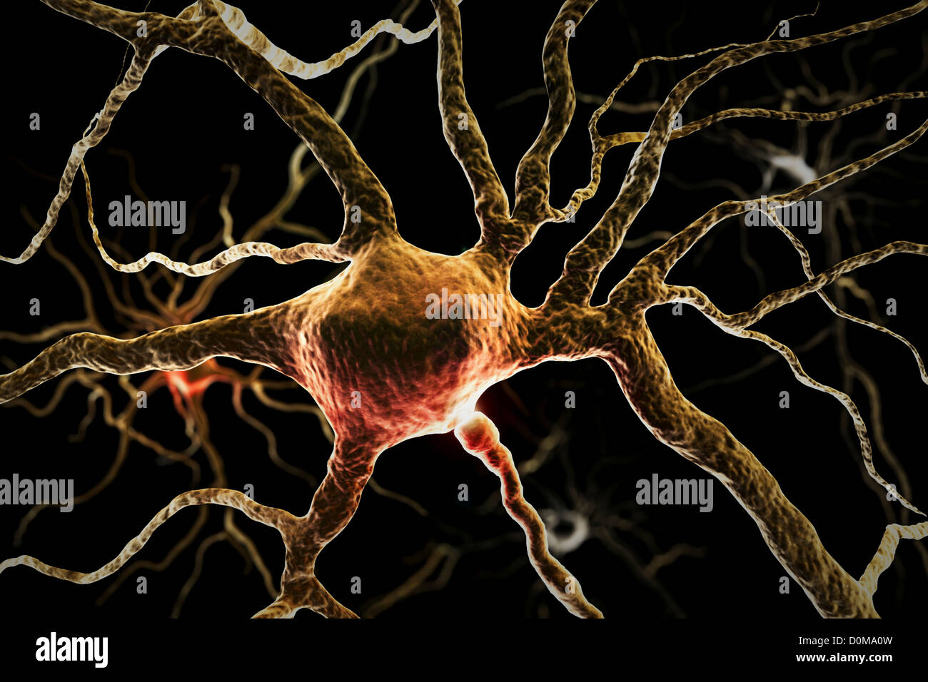 Microscopic styled visualization of neurons. Stock Photo