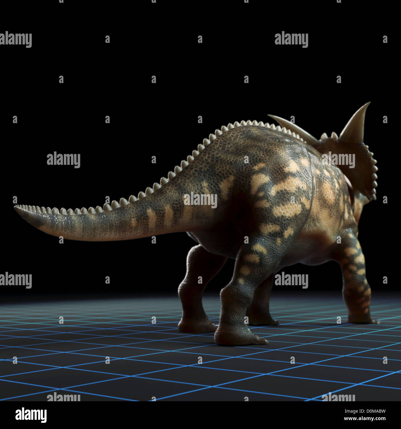 Dinosaur Rear Rear of a Einosauruseye dinosaur showing the tail Stock Photo - Alamy