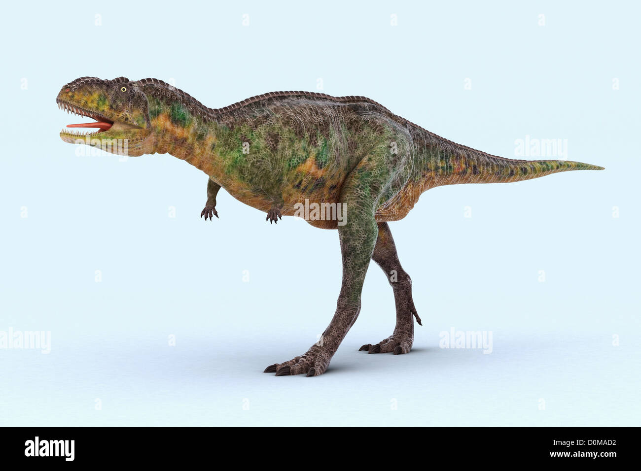 Model of a Aucasaurus dinosaur Stock Photo - Alamy