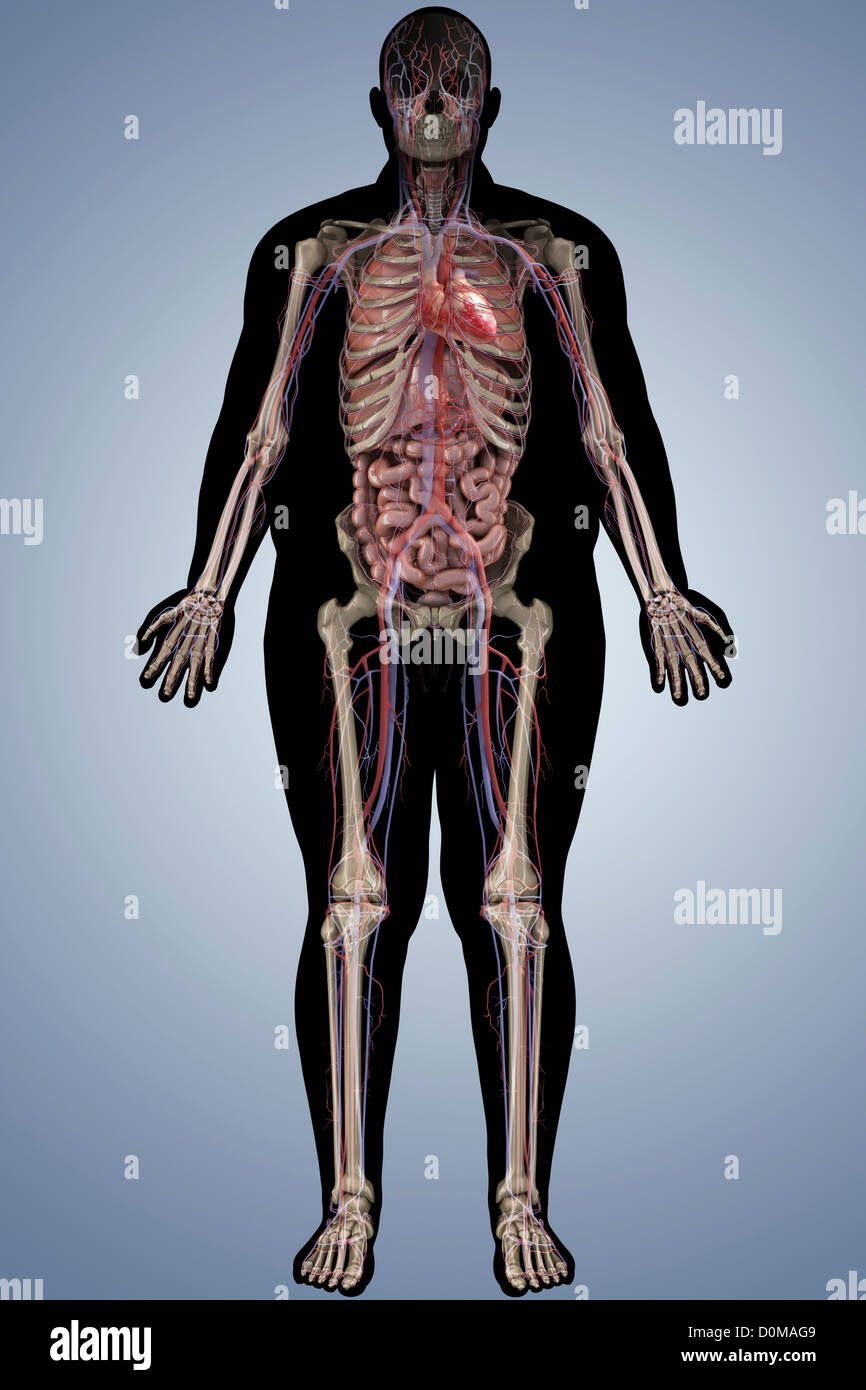 Skeleton of overweight man layered over his silhouette of body fat