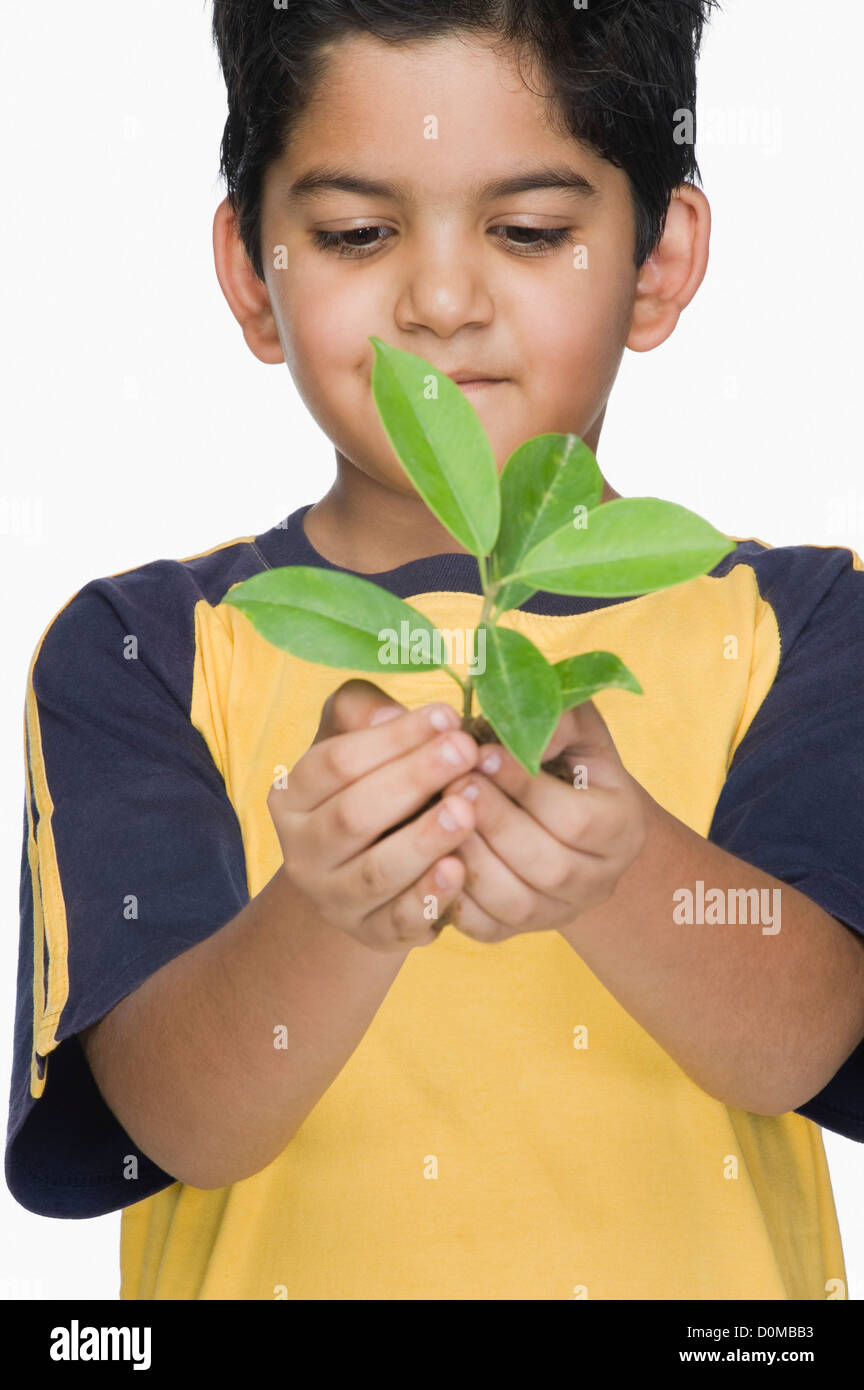 Close-up of a boy holding a plant Stock Photo - Alamy