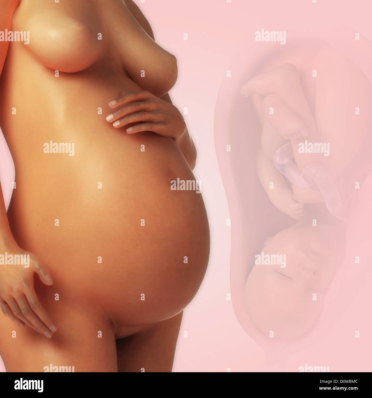 A human model showing pregnancy. Stock Photo