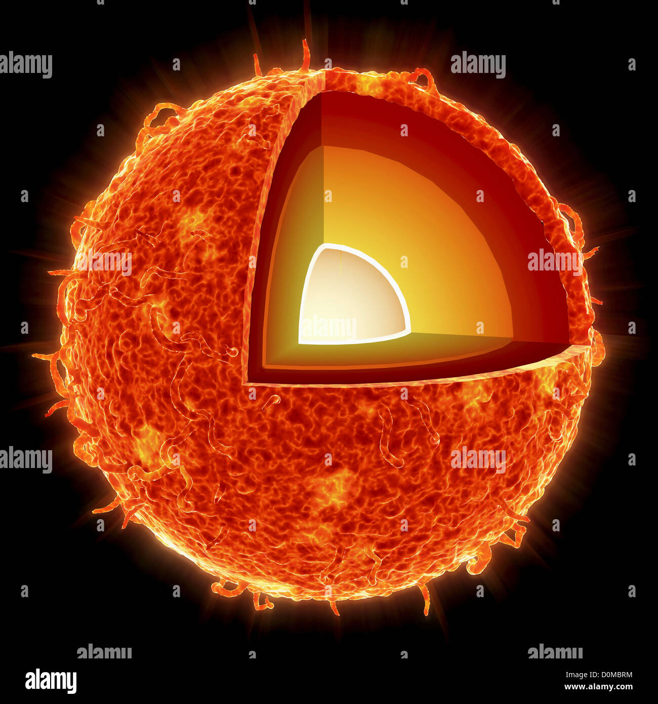 Cross section of the sun showing the core, radiative zone and convective zone. Stock Photo
