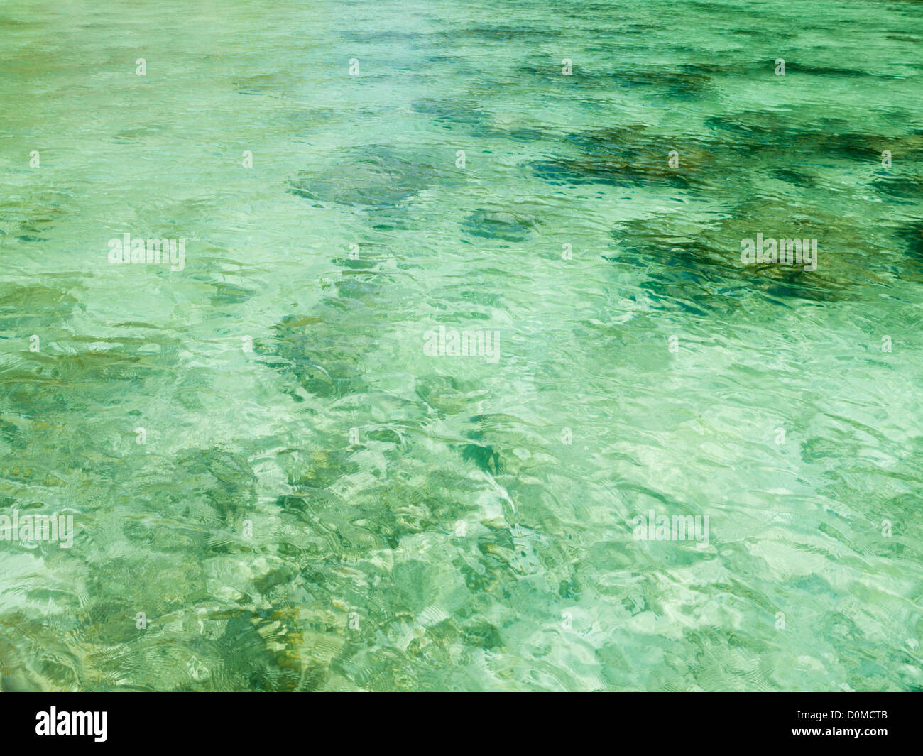 green sea water Stock Photo Alamy
