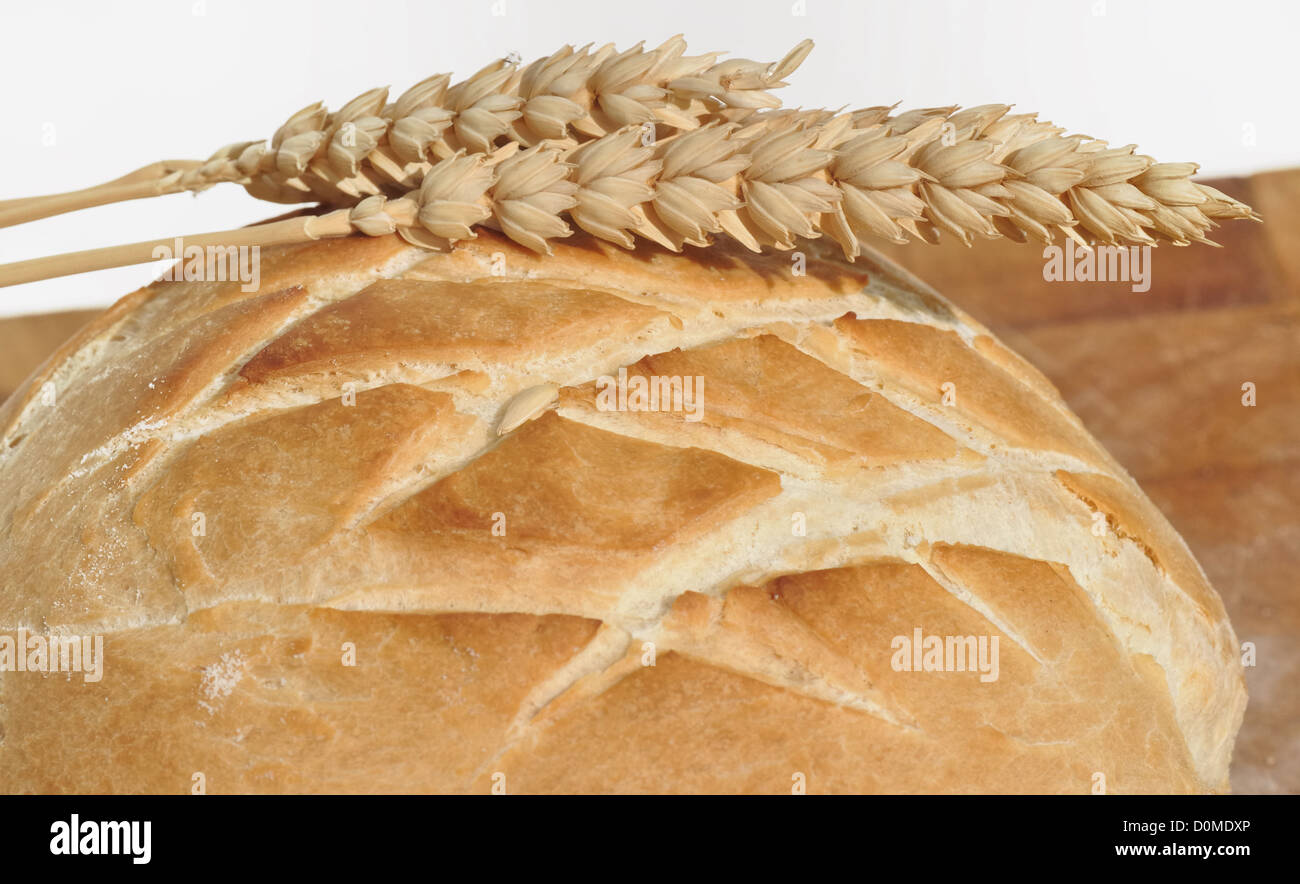 golden crust of loaf of bread and wheat ears Stock Photo