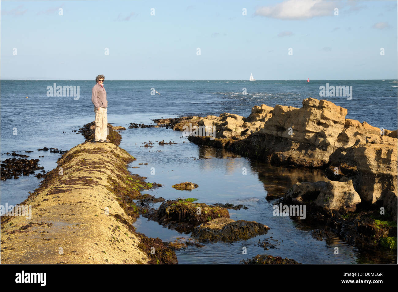 Peveril Point Swanage Stock Photo Alamy