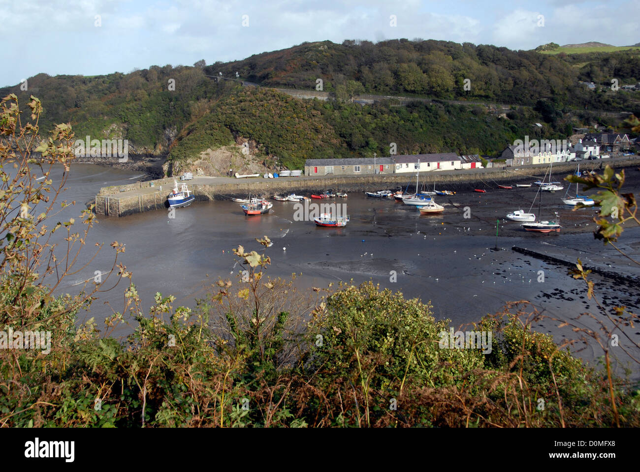 Fishguard lower town harbour, Pembrokeshire, Wales Stock Photo