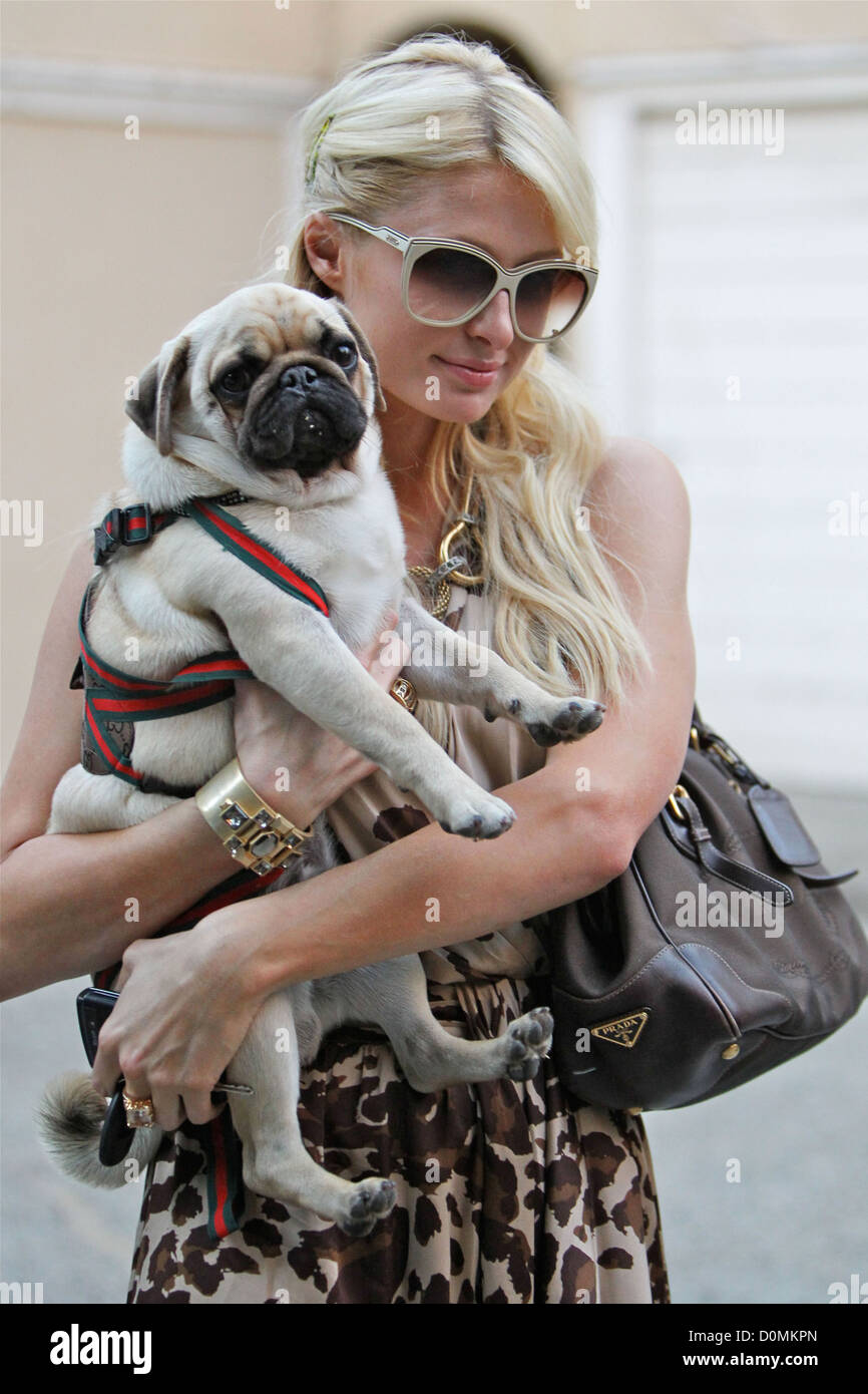 Paris Hilton seen leaving a friends house in West Hollywood with her dog Mugsy Los Angeles, USA - 23.08.10 Stock Photo