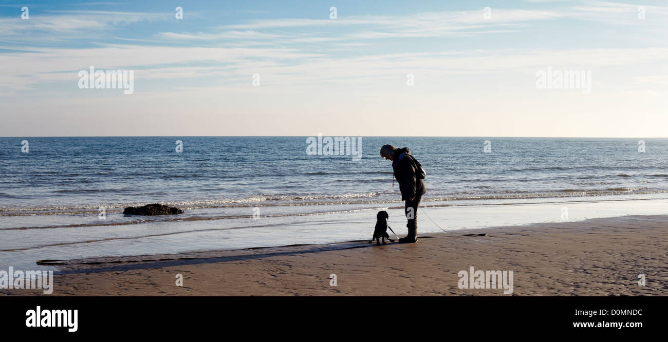 Dog Walking Bamburgh Dog Walking Bamburgh