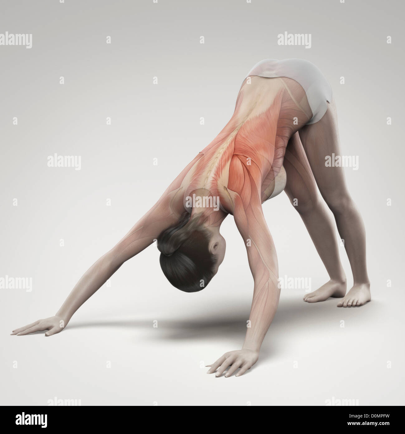 Downward Doggy