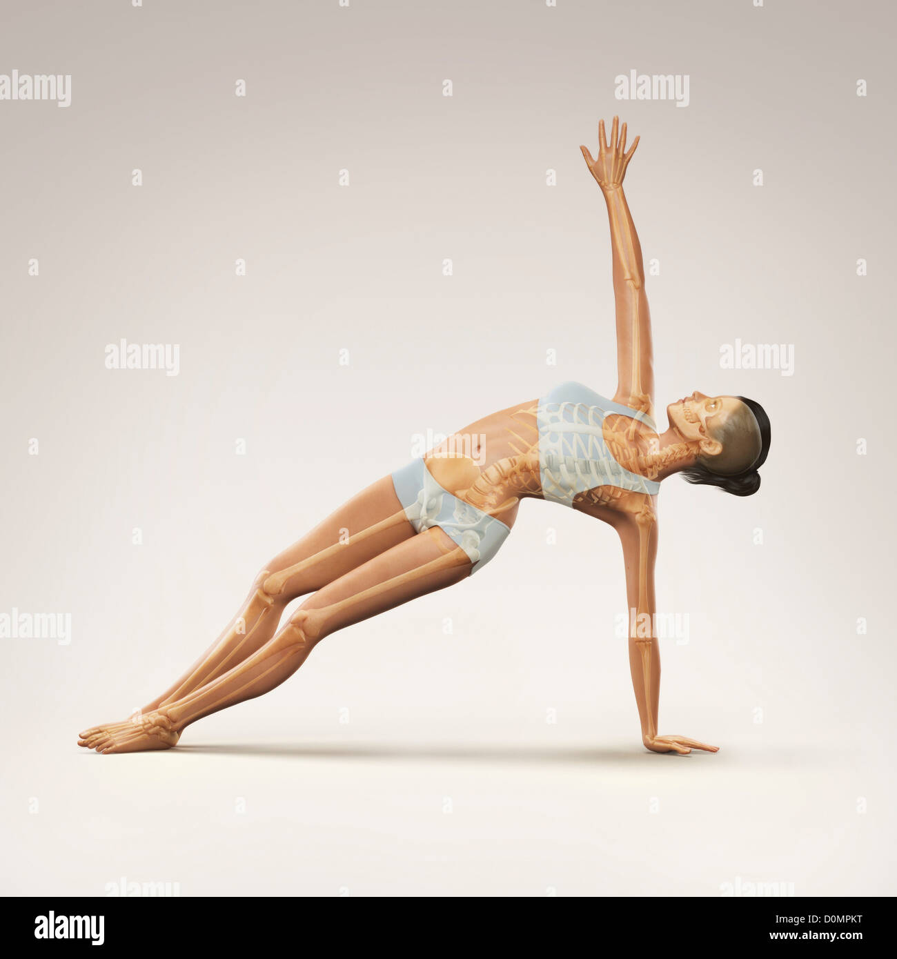 Skeleton layered over a female body in side balance pose showing the ...
