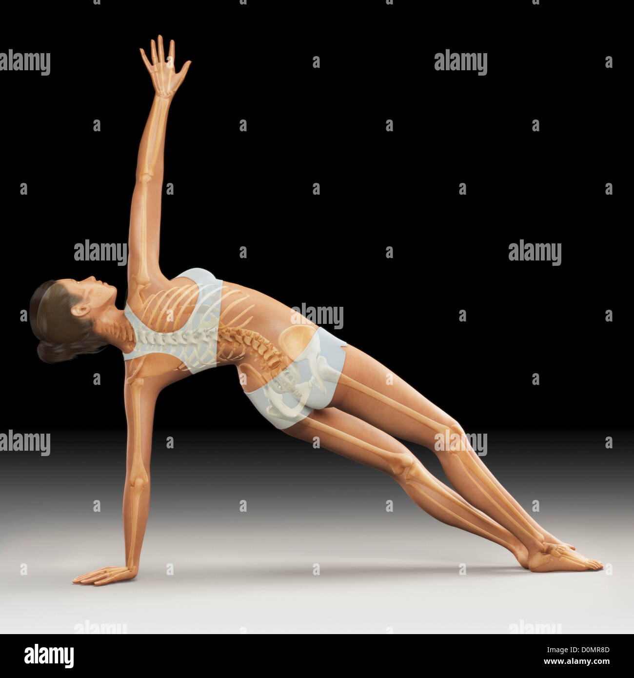 Skeleton layered over a female body in side balance pose showing the ...