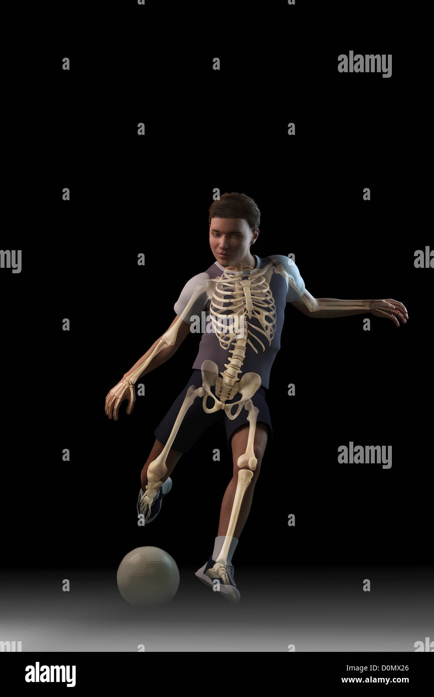 Anatomical model of a child kicking a soccer ball showing the skeletal