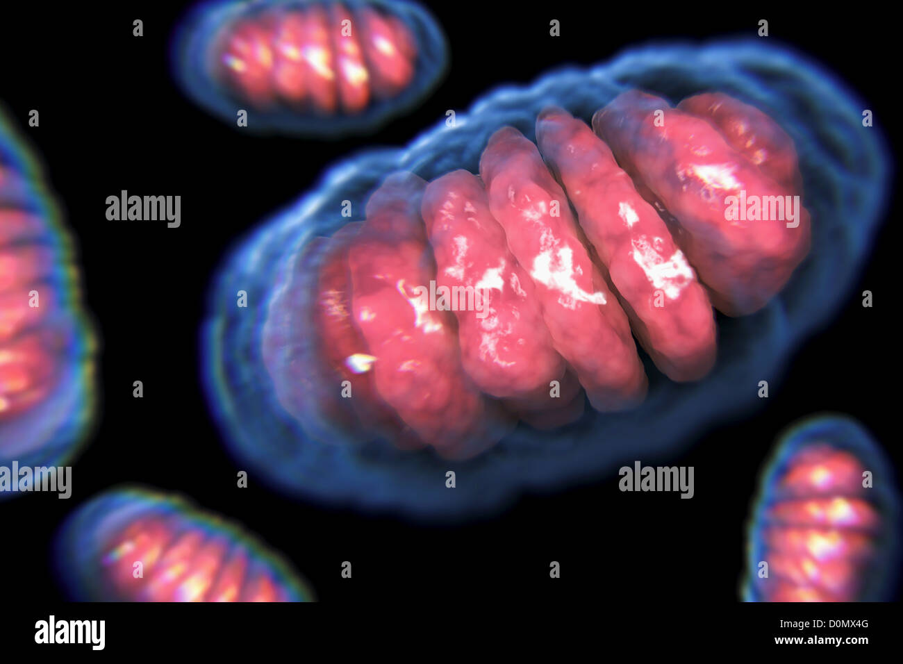 Interior view of a cell showing a mitochondrion. Stock Photo