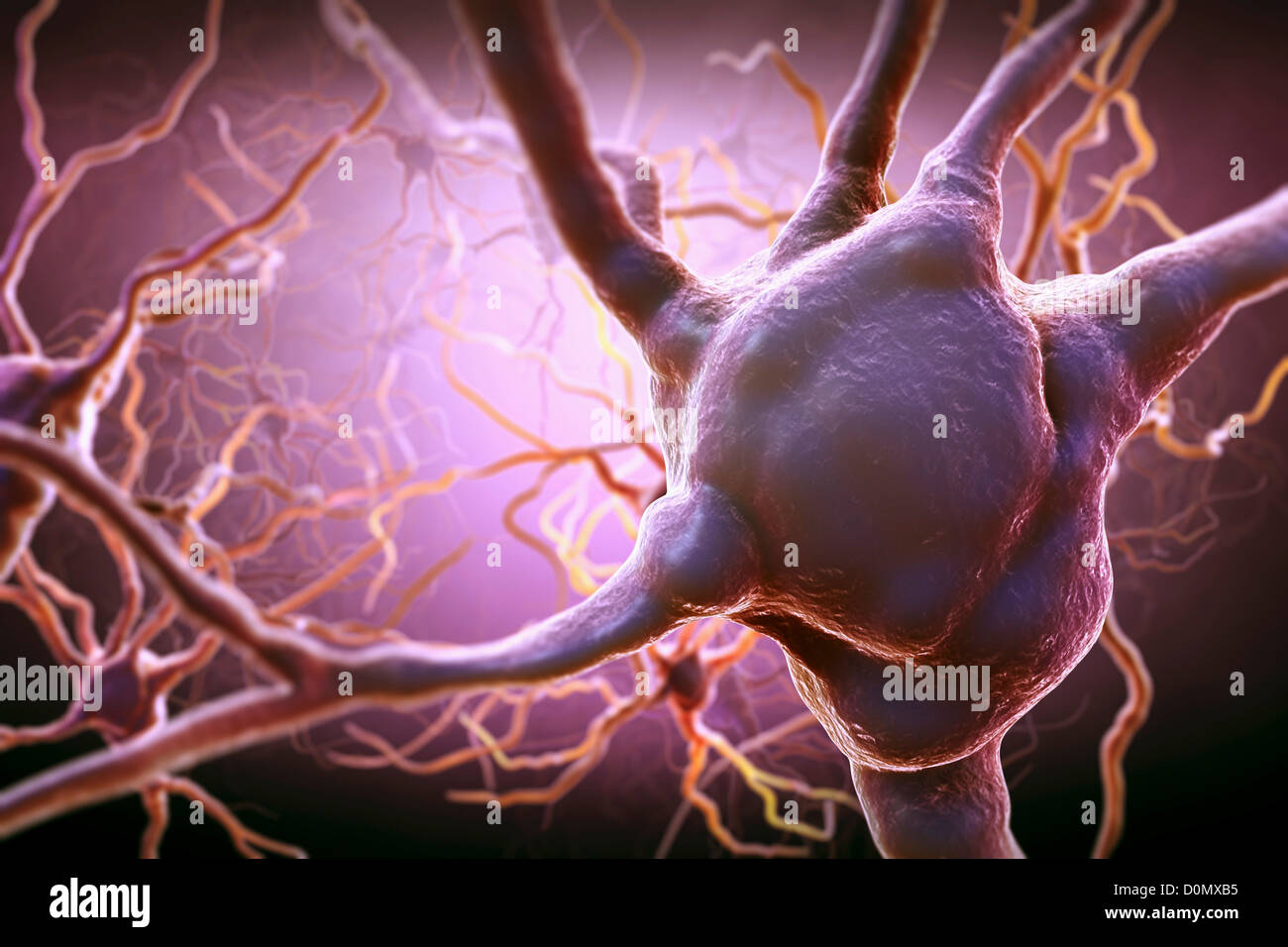 Neurology illustration Stock Vector. 