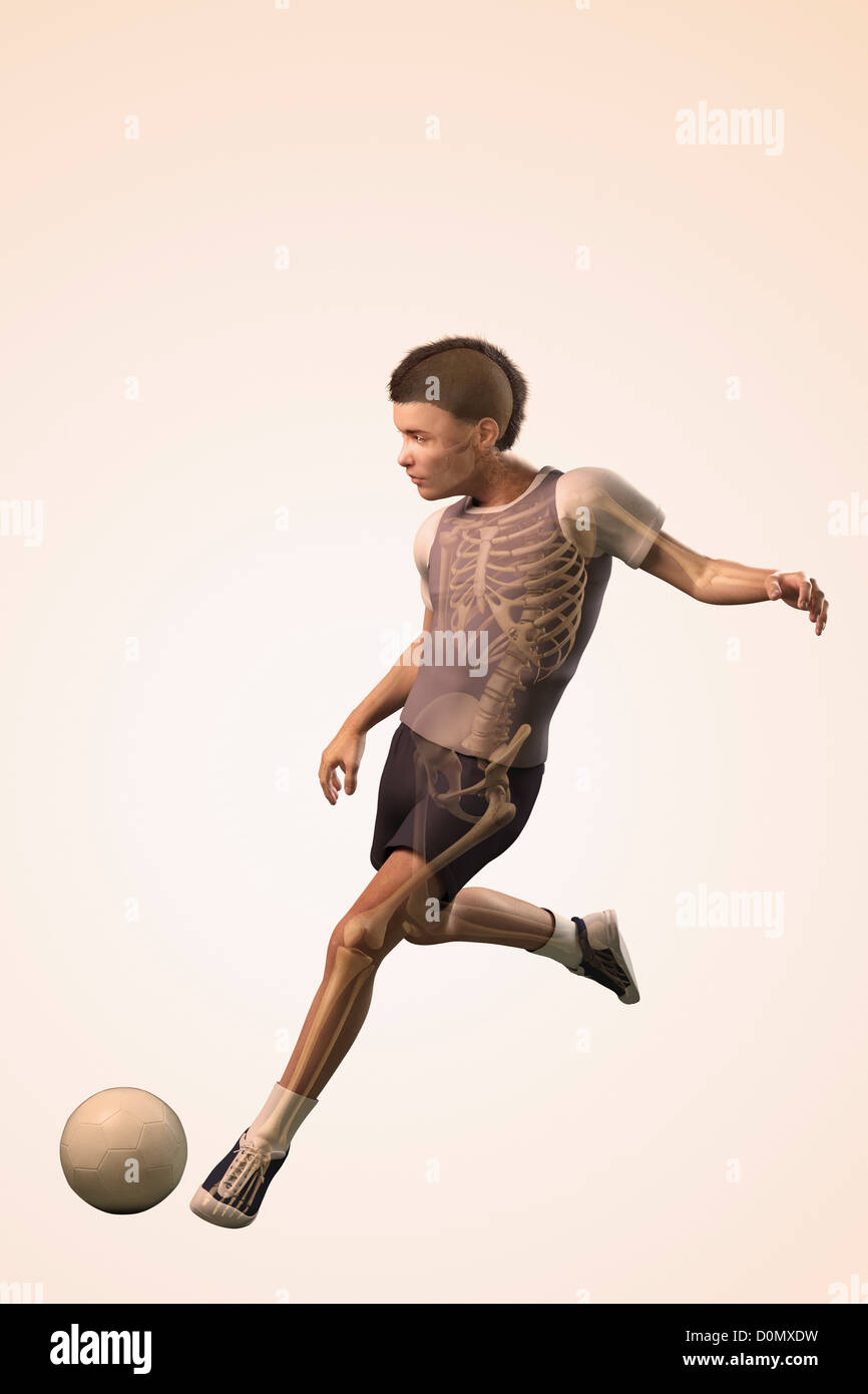 Anatomical model of a child kicking a soccer ball showing the skeletal