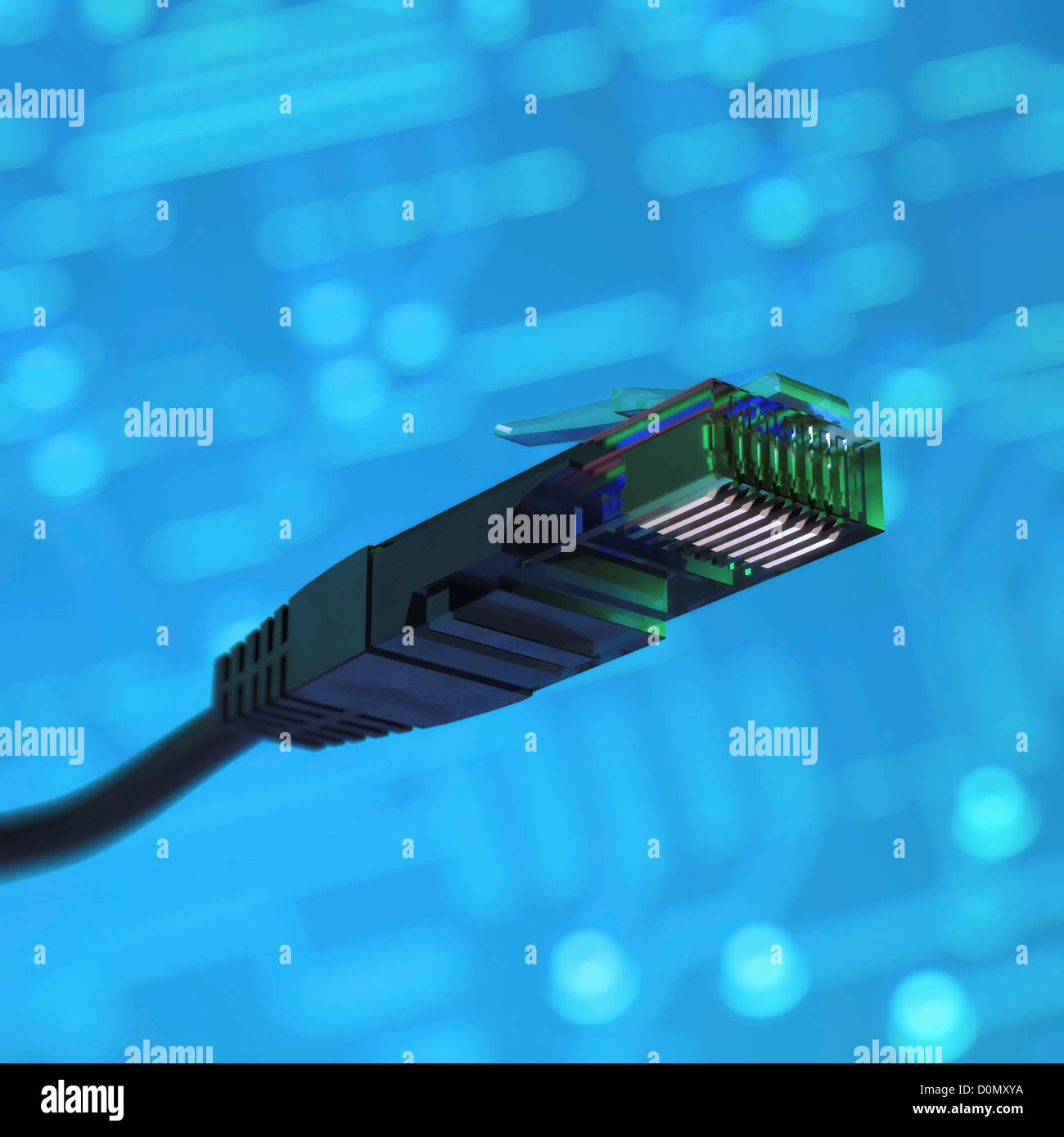 Plug of a LAN cable Stock Photo Alamy