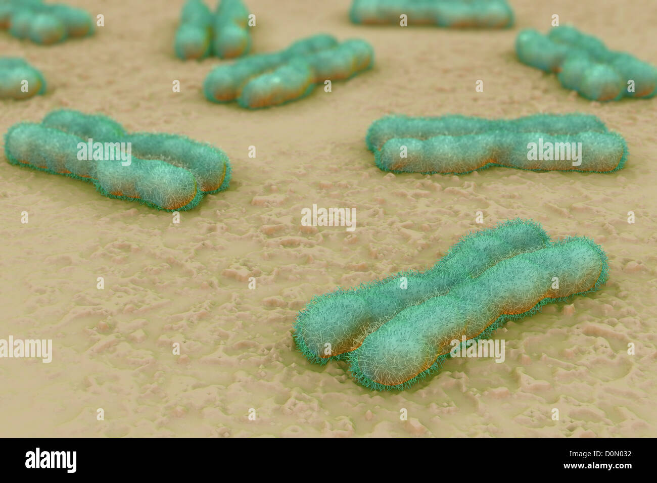 Chromosome number hi-res stock photography and images - Alamy