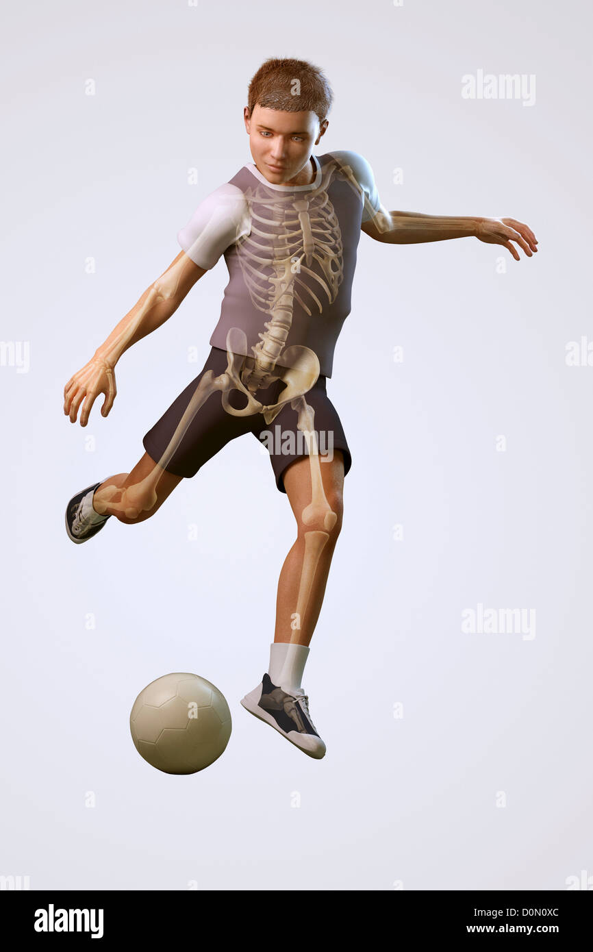 Anatomical model of a child kicking a soccer ball showing the skeletal