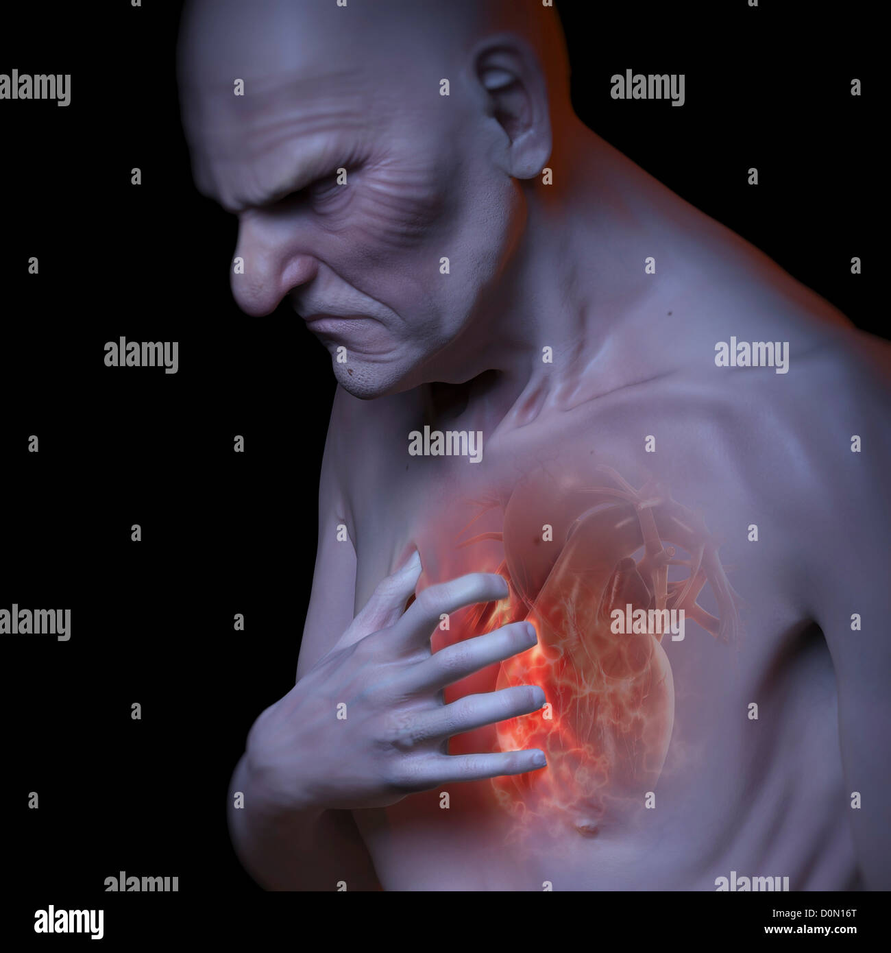 An elderly male grips his chest due to a heart attack. Stock Photo