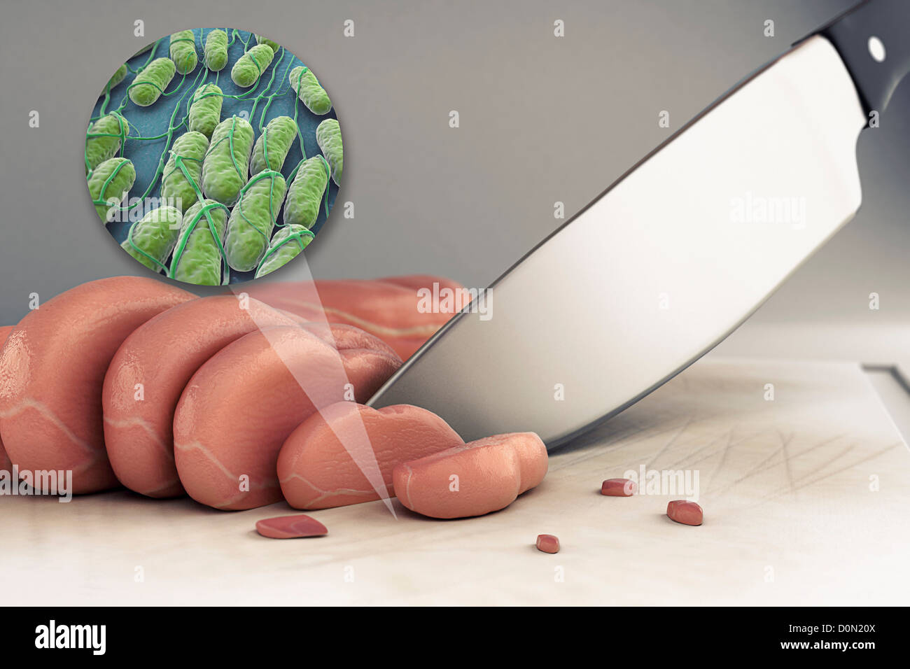 A collection Salmonella bacteria zoomed out surface cutting board raw chicken. Salmonella is genus rod-shaped Gram-negative Stock Photo