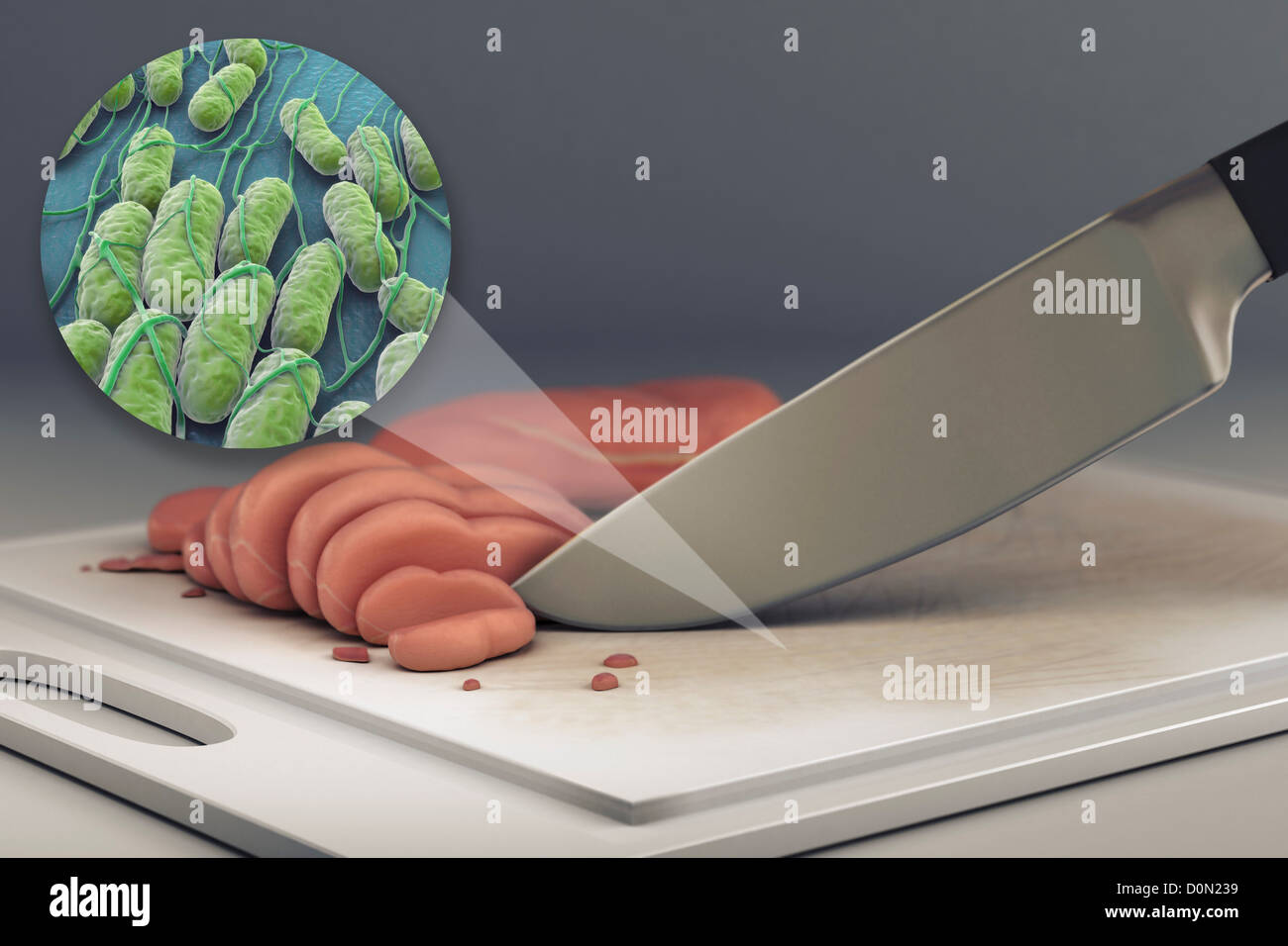 A collection Salmonella bacteria zoomed out surface cutting board raw chicken. Salmonella is genus rod-shaped Gram-negative Stock Photo