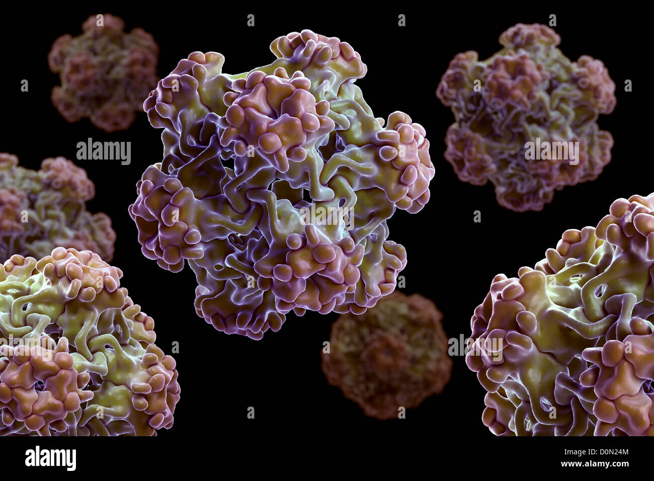 Structure small virus-like particles assembled L1 protein human papillomavirus 16 (PDB 1DZl) family Papillomaviridae. Stock Photo
