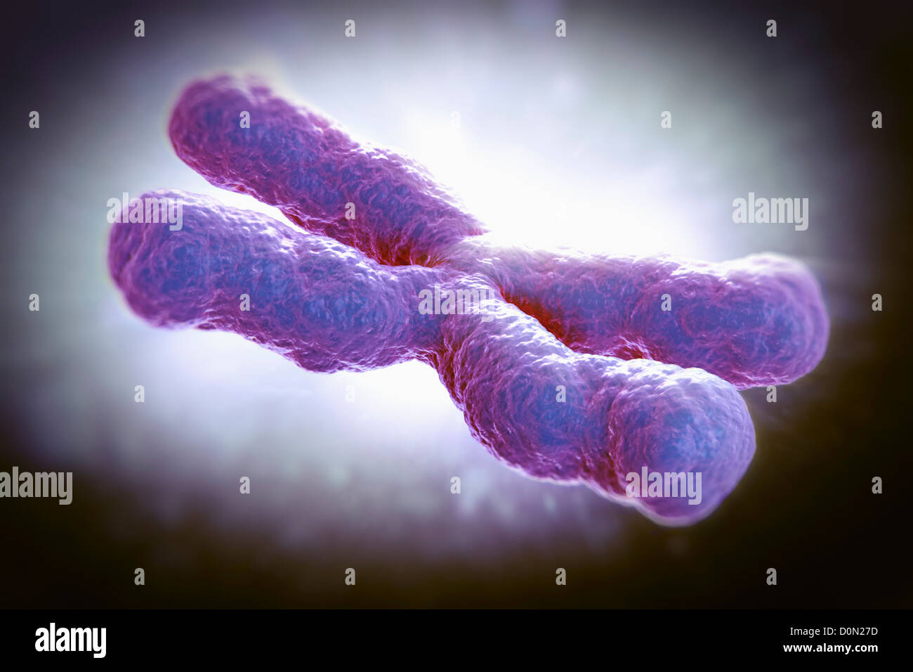 Genetic determining human chromosome Stock Photo - Alamy