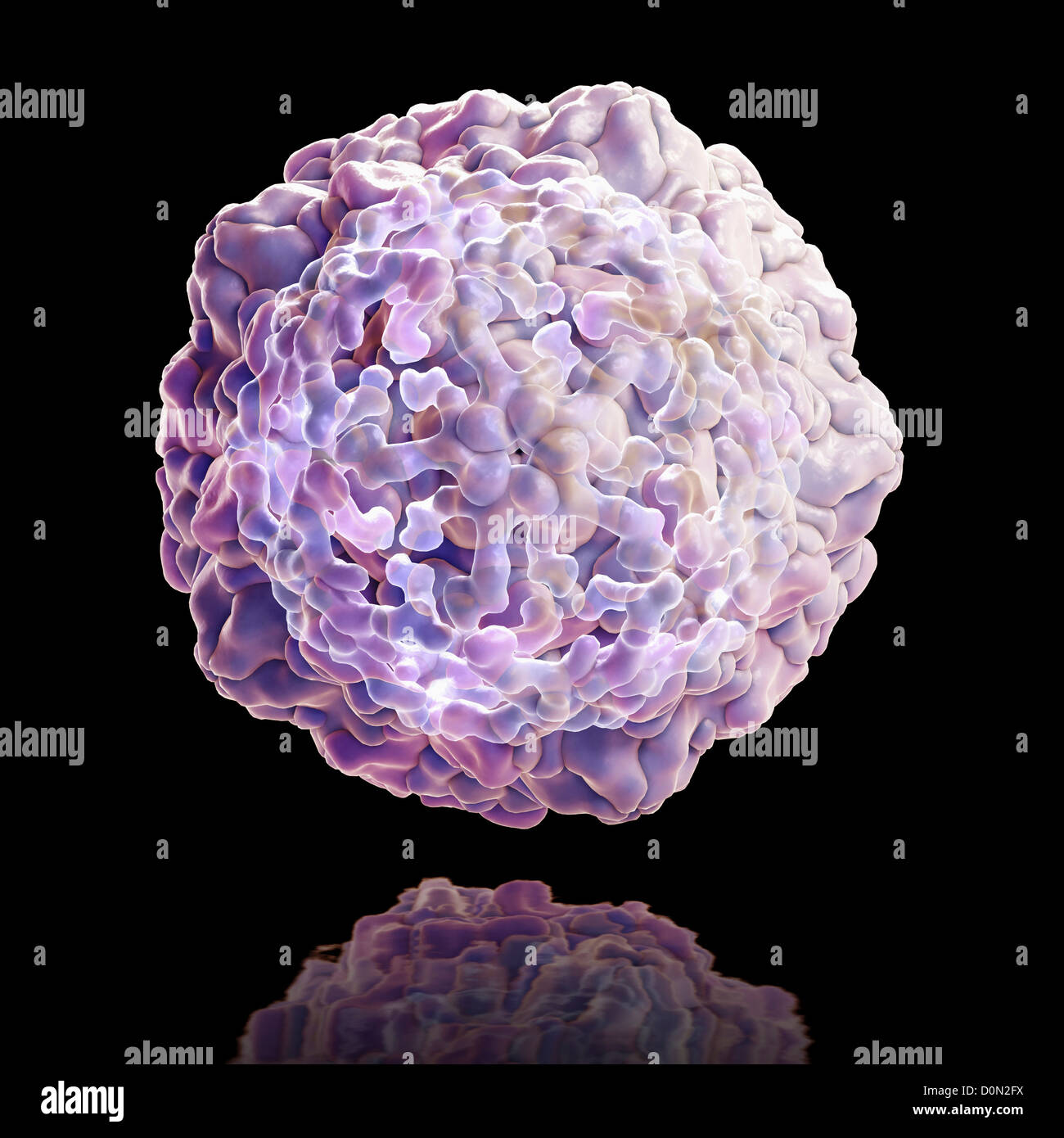 Structure Swine Vesicular Disease Virus (PDB 1OOP). SVDV is Enterovirus family Picornaviridae that causes symptoms similar Stock Photo