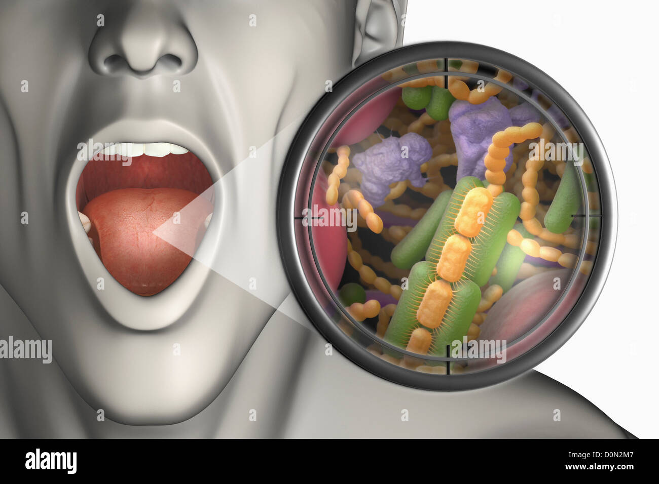 Микроорганизмы полости рта. Бактерии ротовой полости человека.