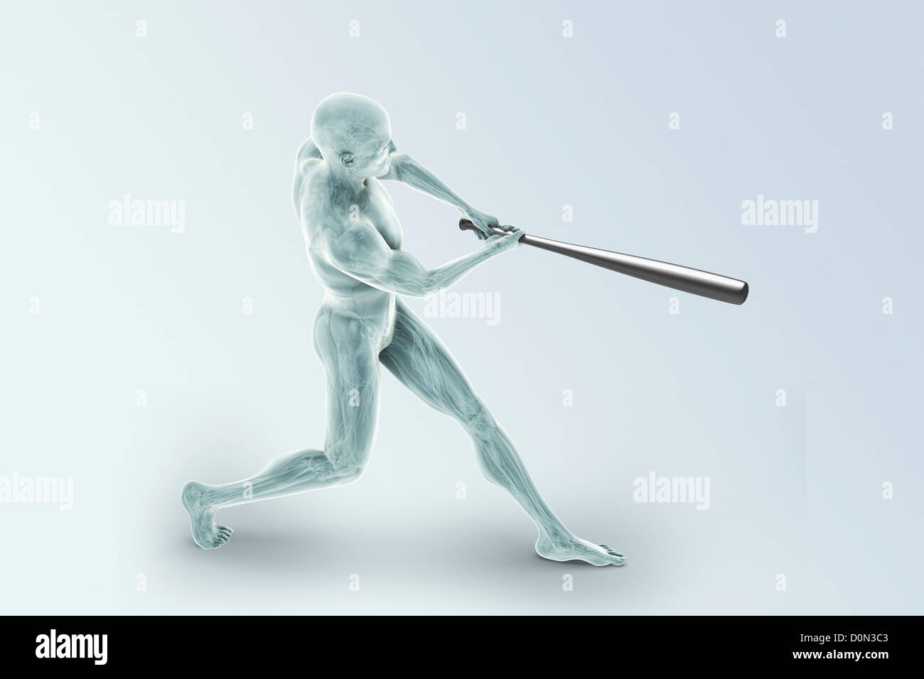 Male figure swinging a baseball bat. The internal anatomy is visible