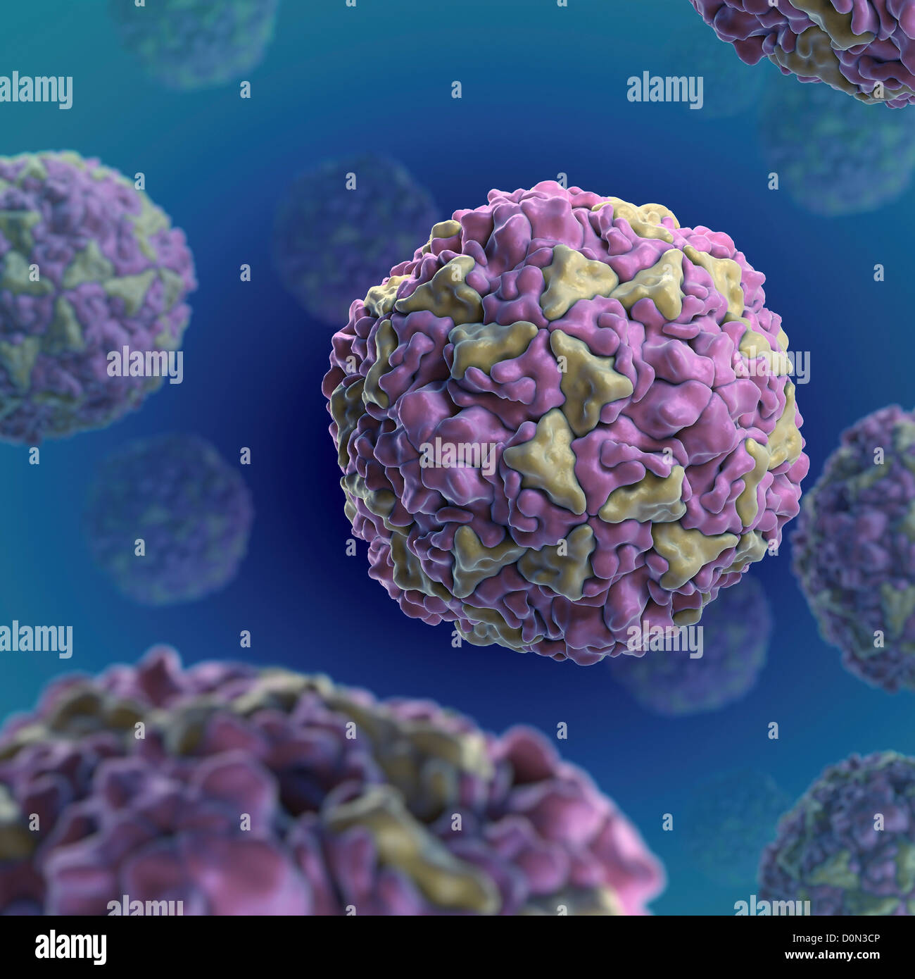 Structure Human Rhinovirus (PDB 4RHV). Rhinoviruses are most common viral infective agents in humans are main cause common cold. Stock Photo