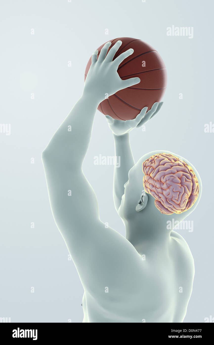 Male figure jumping with a basketball about to take a shot. The internal anatomy of the brain is visible within the head. Stock Photo