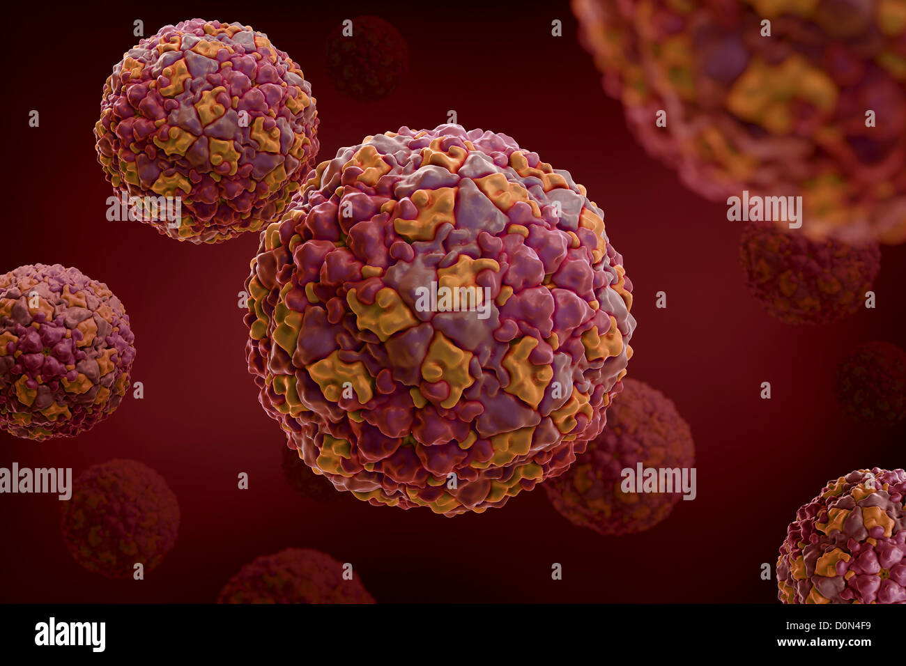 Structure footandmouth disease virus (1BBT) which is pathogen that