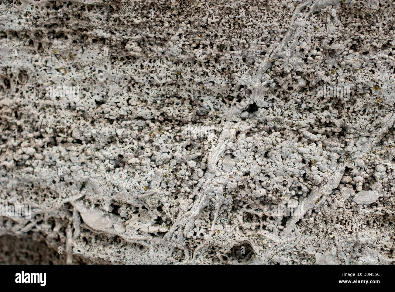 Pitted stone texture hi-res stock photography and images - Alamy