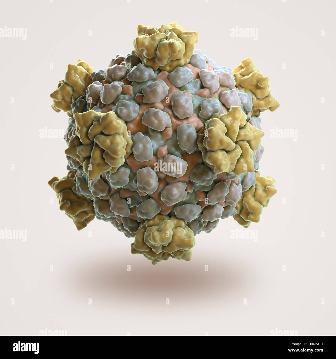 Structure Reovirus core (PDB 1EJ6) which synthesizes modifies exports ...